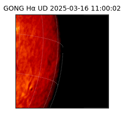 gong - 2025-03-16T11:00:02