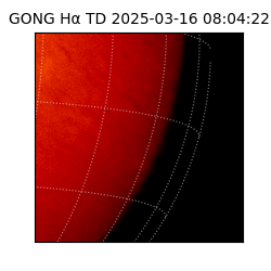 gong - 2025-03-16T08:04:22