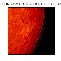 gong - 2025-03-16T11:00:02