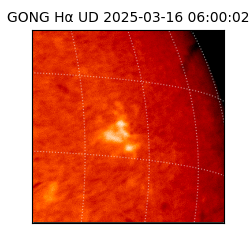 gong - 2025-03-16T06:00:02