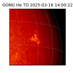 gong - 2025-03-16T14:00:22