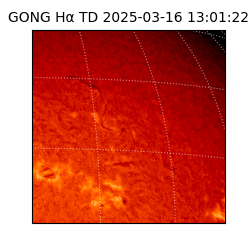 gong - 2025-03-16T13:01:22