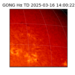 gong - 2025-03-16T14:00:22