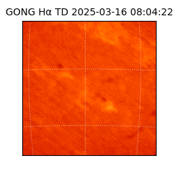 gong - 2025-03-16T08:04:22