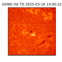 gong - 2025-03-16T14:00:22