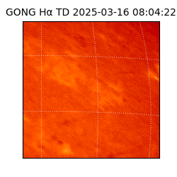gong - 2025-03-16T08:04:22