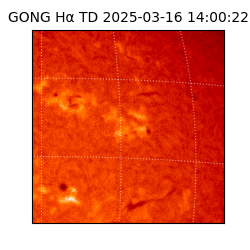 gong - 2025-03-16T14:00:22