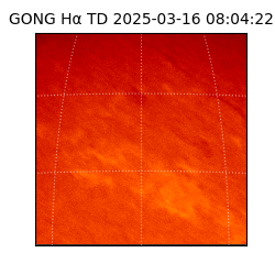 gong - 2025-03-16T08:04:22