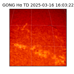 gong - 2025-03-16T16:03:22