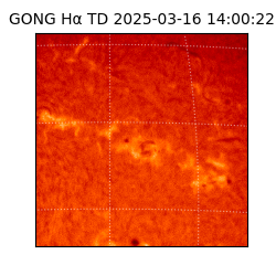 gong - 2025-03-16T14:00:22