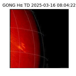 gong - 2025-03-16T08:04:22