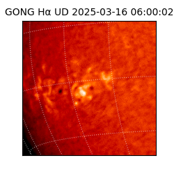 gong - 2025-03-16T06:00:02