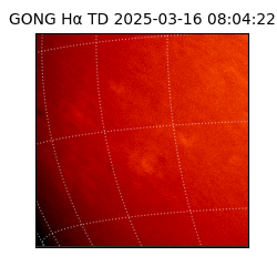 gong - 2025-03-16T08:04:22