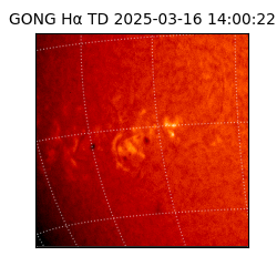 gong - 2025-03-16T14:00:22