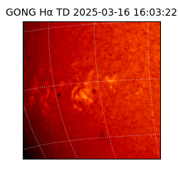 gong - 2025-03-16T16:03:22