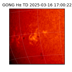 gong - 2025-03-16T17:00:22