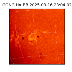 gong - 2025-03-16T23:04:02