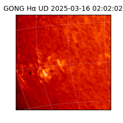 gong - 2025-03-16T02:02:02