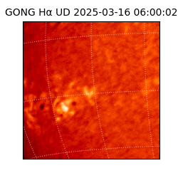 gong - 2025-03-16T06:00:02