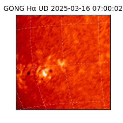 gong - 2025-03-16T07:00:02