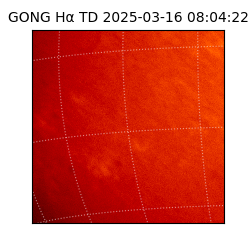 gong - 2025-03-16T08:04:22