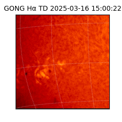 gong - 2025-03-16T15:00:22
