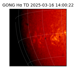 gong - 2025-03-16T14:00:22