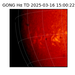 gong - 2025-03-16T15:00:22