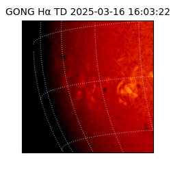 gong - 2025-03-16T16:03:22