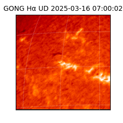 gong - 2025-03-16T07:00:02
