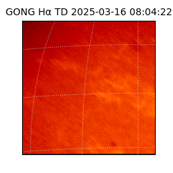 gong - 2025-03-16T08:04:22