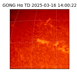 gong - 2025-03-16T14:00:22