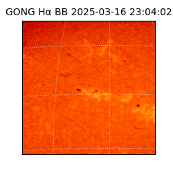 gong - 2025-03-16T23:04:02