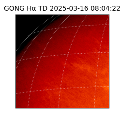 gong - 2025-03-16T08:04:22