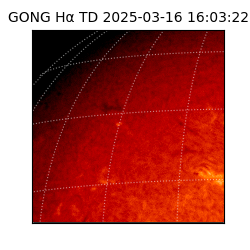 gong - 2025-03-16T16:03:22
