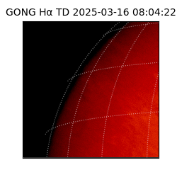 gong - 2025-03-16T08:04:22