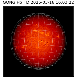 gong - 2025-03-16T16:03:22