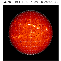 gong - 2025-03-16T20:00:42