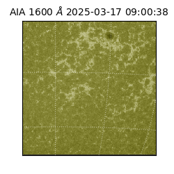 saia - 2025-03-17T09:00:38.126000