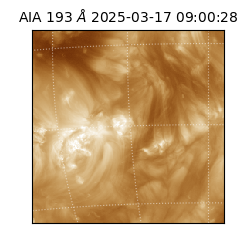 saia - 2025-03-17T09:00:28.843000