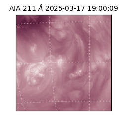 saia - 2025-03-17T19:00:09.630000