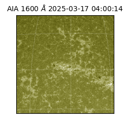 saia - 2025-03-17T04:00:14.125000