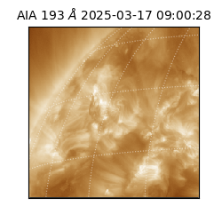 saia - 2025-03-17T09:00:28.843000