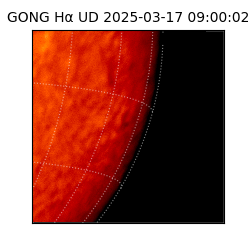 gong - 2025-03-17T09:00:02