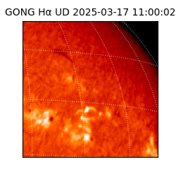 gong - 2025-03-17T11:00:02