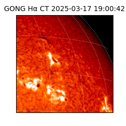 gong - 2025-03-17T19:00:42
