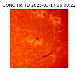 gong - 2025-03-17T16:00:22