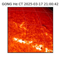 gong - 2025-03-17T21:00:42