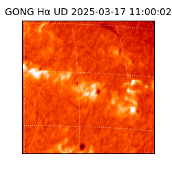 gong - 2025-03-17T11:00:02