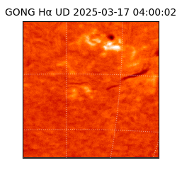 gong - 2025-03-17T04:00:02